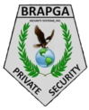 Brapga Security Systems Inc